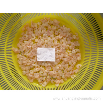 Frozen Raw Red Shrimp Iqf 100-200 Pud